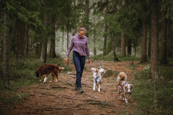 Anne Barck – Dog mama of three happy Aussies!