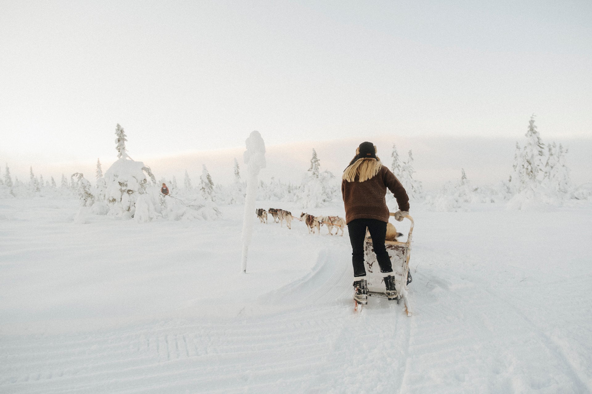 A Wild Trip To Winter Wonderland