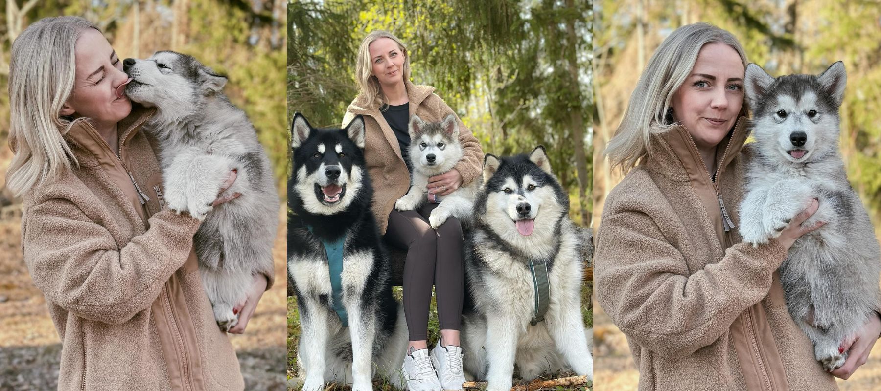 Life as a packleader of 20 Alaskan Malamutes - With Emeli Aagedal