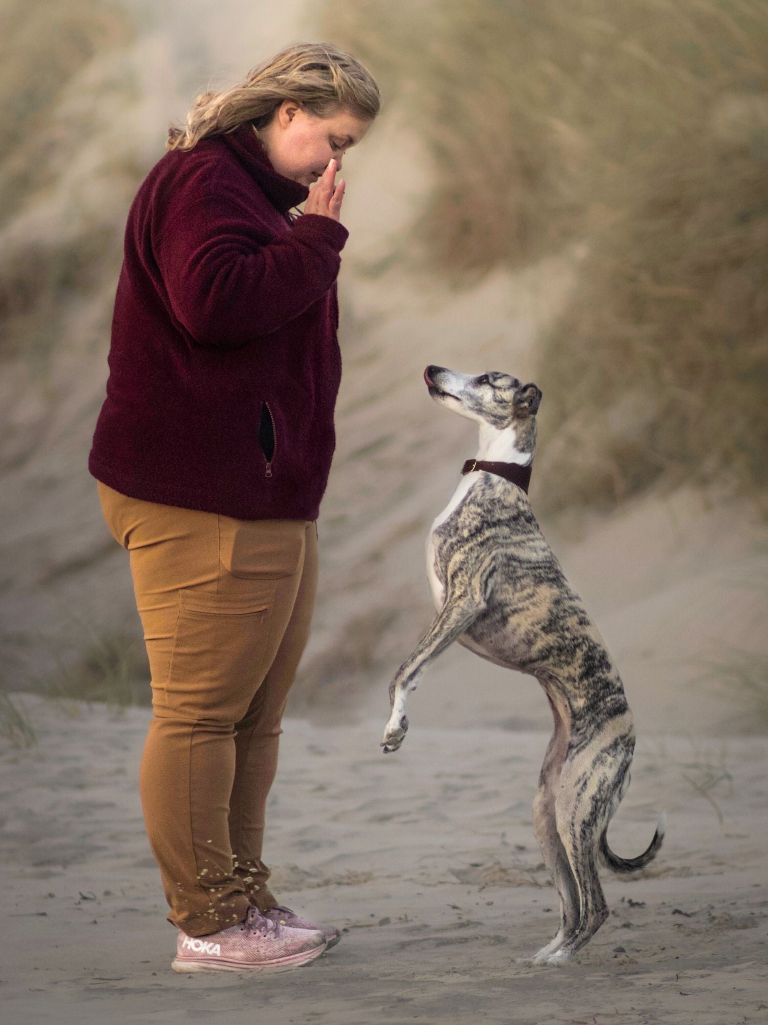 women's hiking pants adjustable waist camel