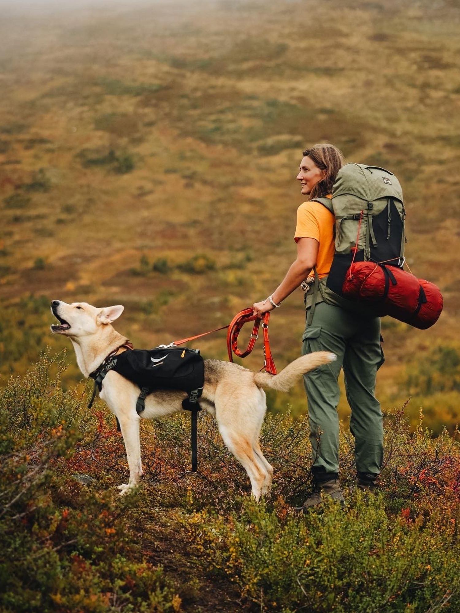 women's cargo pants high waist green