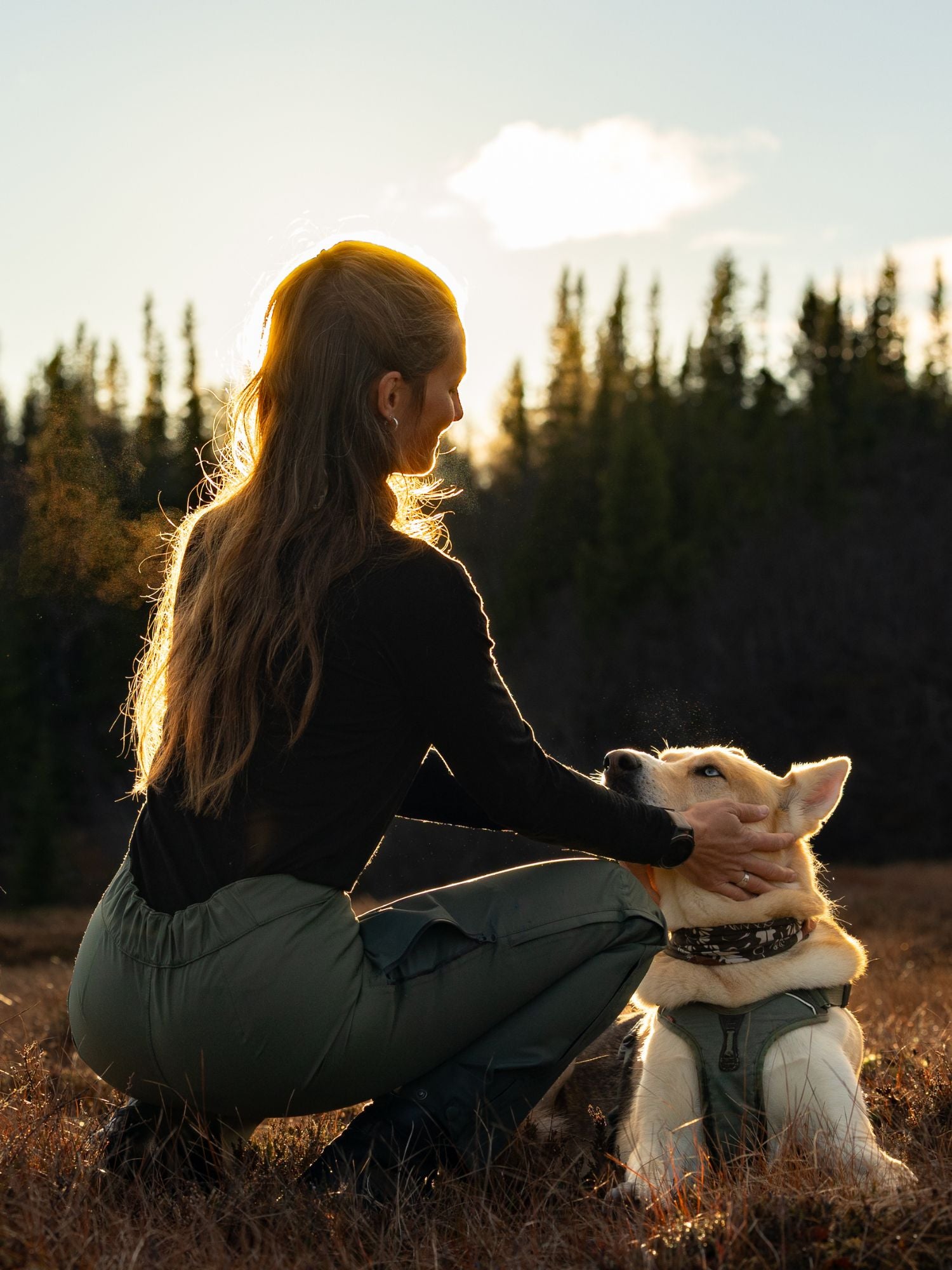 women's shell pants green